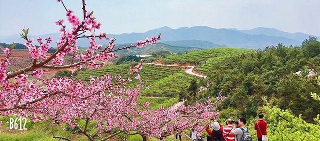 18����luck��(�й�)-�ٷ���վ